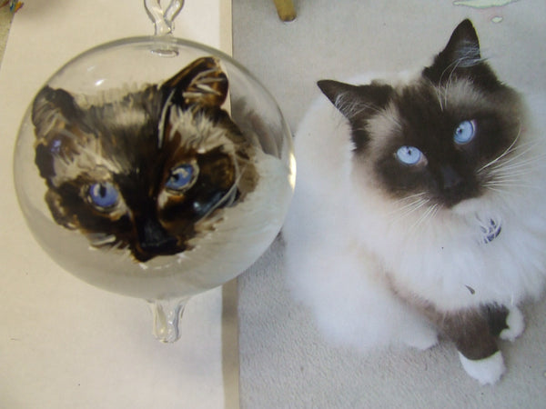 pet portrait bauble