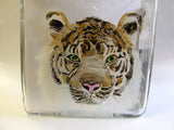 Wild Animal Cube hurricane lamp