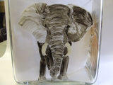 Wild Animal Cube hurricane lamp